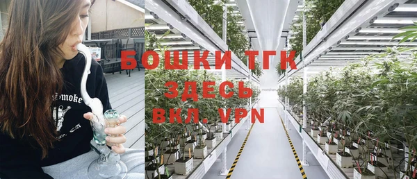 СК Богородск